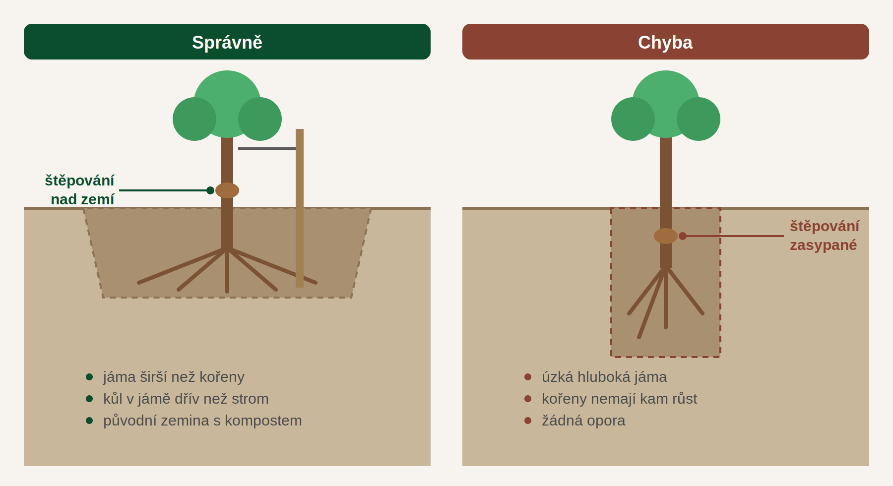 Srovnání správné široké výsadbové jámy a chybné hluboké úzké jámy se zasypaným místem štěpování